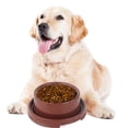 thumbnail image 3 of Laklulu Cuenco para Perros Cuencos elevados para Comida para Mascotas Cuencos para Gatos Redondos sin derrames Alimentador de Agua Colorido Cuenco para Comer, 3 of 5