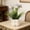 Multicolor, variant on Artificial Silk Flowers In Ceramic-Look Pot | Faux Floral Arrangement for Home Decor | Desktop, Entryway, Office, Dining Table Decorations | for Indoor Spaces