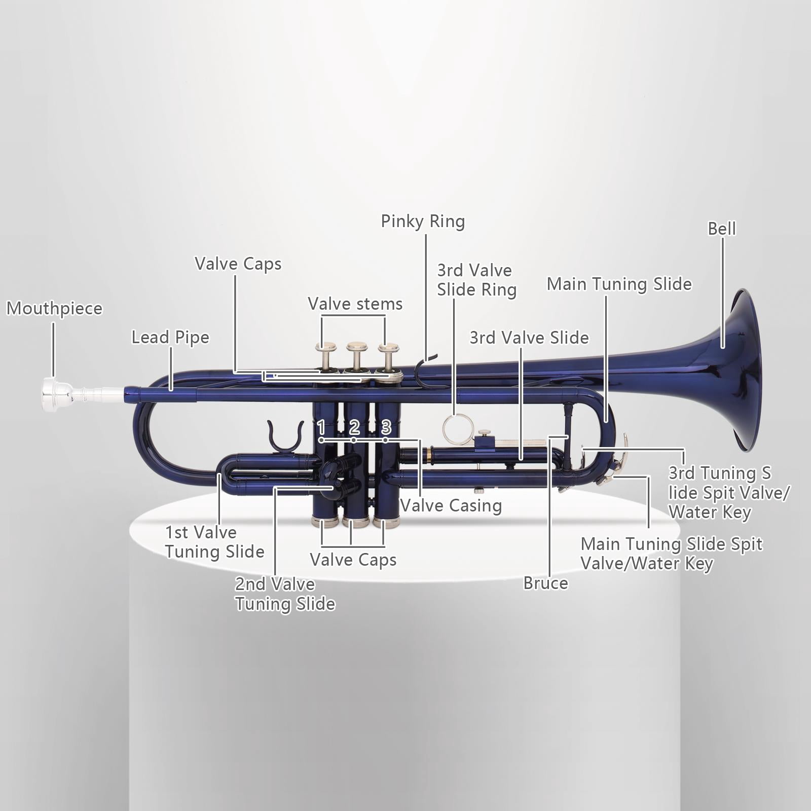 Winado Bb Beginner School Band Trumpet with Mouthpiece Case for Student