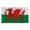 Wales, variant on National Flag with Sleeves for Men Women Adult Wearable Flag Novelty Football Flag Decorative Craft