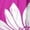 H-020 Hot Pink, variant on White Ladies Beach Brunch Sleeveless Slip Dresses for Juniors Vneck Spandex Floral Print Midi Hawaiian Ruched Tropical Summer Fall 2026 Clothes Fashion XXL