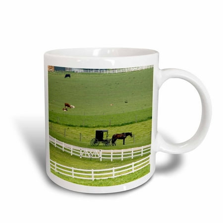 3dRose Amish farm with horse buggy near Berlin, Ohio - US36 DFR0008 - David R. Frazier, Ceramic Mug, 11-ounce