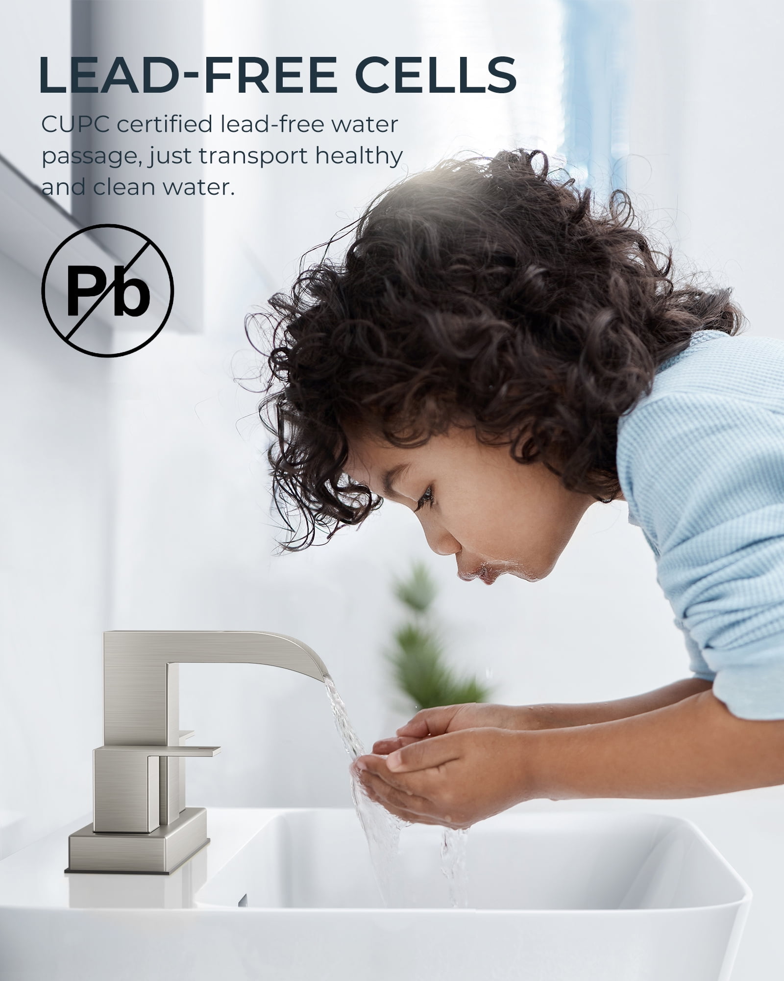 WB-61A32BN Centerset Bathroom Faucet With Drain Assembly, 2-handle Bathroom Sink Faucet