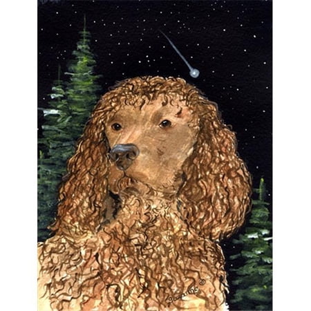 American Water Spaniel Flag - Garden Size 11 x 15 in.
