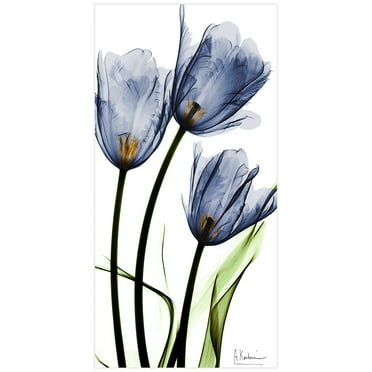 Flower 24 in x 48 in Painting Art Prints, by Empire Art