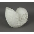 thumbnail image 2 of White Sandstone Finish Frilled Nautilus Shell Accent Lamp 10 Inches High, 2 of 4