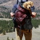 thumbnail image 2 of Botella de agua portátil para perros, con 2 tazones plegables, 2 en 1 botella de agua y comida para mascotas gato, botella de viaje para caminar, ejercicio, senderismo, camping, 2 of 4
