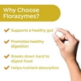 thumbnail image 5 of Revival Point Florazymes Premium Digestive Enzymes for Digestion for Women and Men - Includes Pancreatic Enzymes & Proteolytic Enzymes, 5 of 8