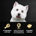 thumbnail image 3 of Cesar Classic Loaf in Sauce Adult Wet Dog Food, Beef Recipe 3.5 oz (Pack of 6), 3 of 6