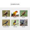thumbnail image 4 of 1、Nido para pájaros:, 4 of 7