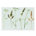 thumbnail image 1 of Watercolor Cutting Board, Wild Flowers Herbs and Twigs Wilderness Untamed Plants Ecological Art, Decorative Tempered Glass Cutting and Serving Board, Large Size, Vermilion Dark Green, by Ambesonne, 1 of 1