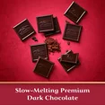 thumbnail image 2 of Ghirardelli Extra Large Squares Bag Dark Chocolate Assortment 14.86oz, 2 of 4