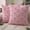 Pink, variant on Easter Throw Pillow Covers 18 x 18 Inch Set of 2 Bunny Rabbit Soft Plush Faux Fur Decorative Throw Pillow Covers Spring Cute Bunny Pillowcases for Easter Home Living Room Bed Decor