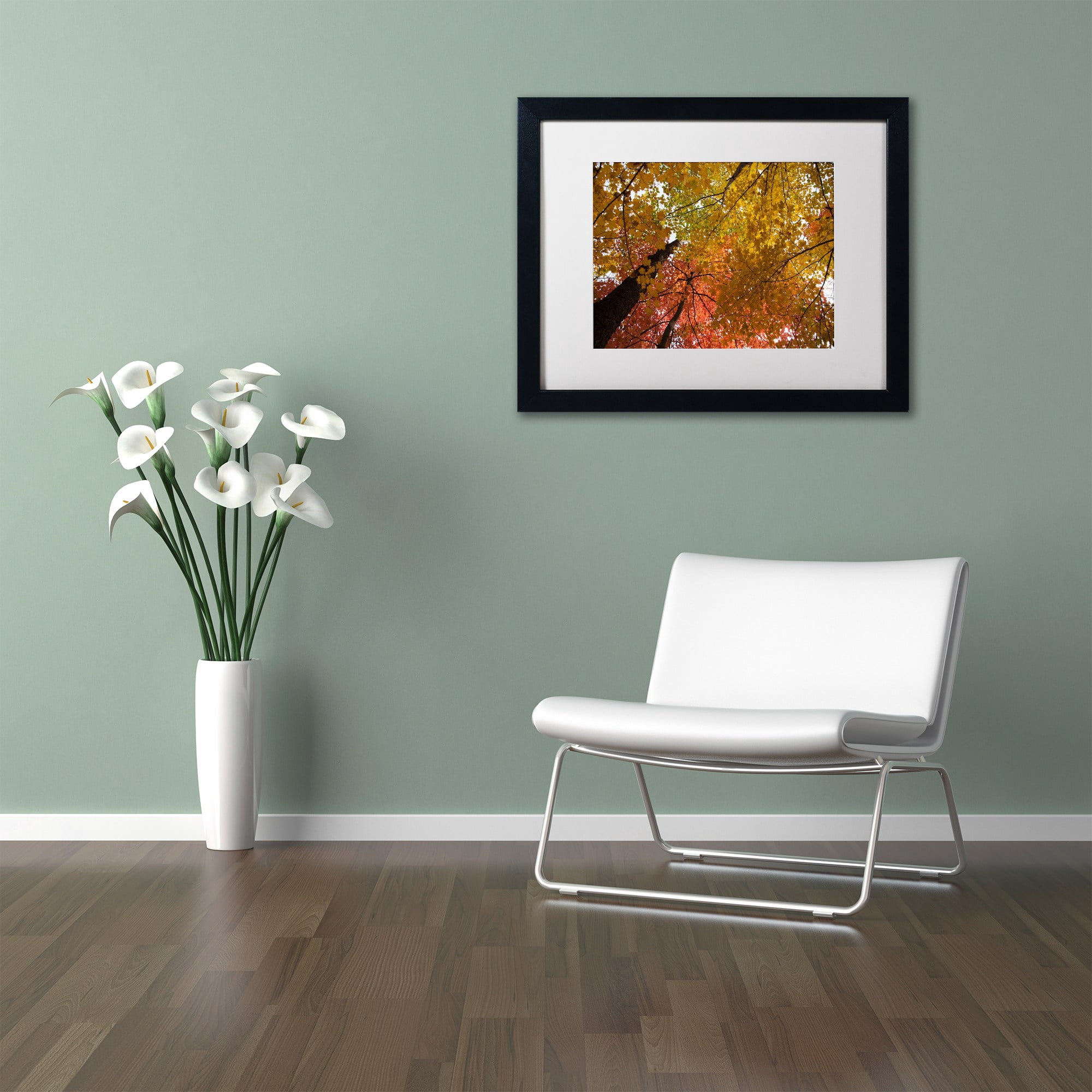 Trademark Fine Art "Spectacular Brilliant Autumn Trees" Canvas Art by Kurt Shaffer, White Matte, Black Frame