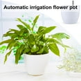 thumbnail image 2 of EIMELI 1 Set Flower Pot Multi-purpose Breathable PP Plastic Self Watering Planter for Indoor, 2 of 10
