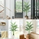 thumbnail image 4 of Palmera Artificial de 6 Pies – Troncos Realistas y Hojas Verdes – Planta Falsa con Maceta – Decoración de Interiores para el Hogar – Tropical – Vivero, 4 of 7