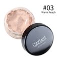 thumbnail image 1 of FcBaudy Cache-Cernes, Cache-Cernes à Embout Perfection Couvrante, Cache-Cernes Multi-Usage, Cache-Cernes Liquide Illumine le Teint Base de Maquillage Cache-Cernes Cache-Cernes, 1 of 2