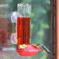 thumbnail image 2 of Perky-Pet Window Mounted 14 oz Glass Hummingbird Feeder, 2 of 4
