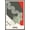 Barnwood Framed Version, variant on The Bride of Frankenstein - Graphic Wall Poster with Push Pins, 14.725" x 22.375"
