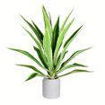 thumbnail image 1 of Vickerman 34" Plante de Yucca en Pot - FU190134, 1 of 2