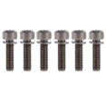 thumbnail image 2 of Tornillos de Vástago de Titanio oso de fresa 6 piezas M5 x 18 mm, 2 of 10