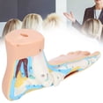 thumbnail image 1 of Wchiuoe Human Foot Model Adults Lifesize Teaching Research Muscle Display Explain Accessories,Human Foot Model,Teaching Foot Model, 1 of 8