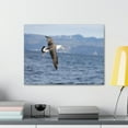 thumbnail image 3 of Albatross Hunting Albatross on Hunt Print Animal Wall Art Wildlife Canvas Prints Wall Art Ready to Hang Unframed, 3 of 18