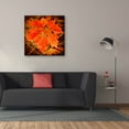 thumbnail image 3 of Epic Graffiti 'Ochre Foliage' by Jessica Rogers, Canvas Wall Art, 37"x37", 3 of 8