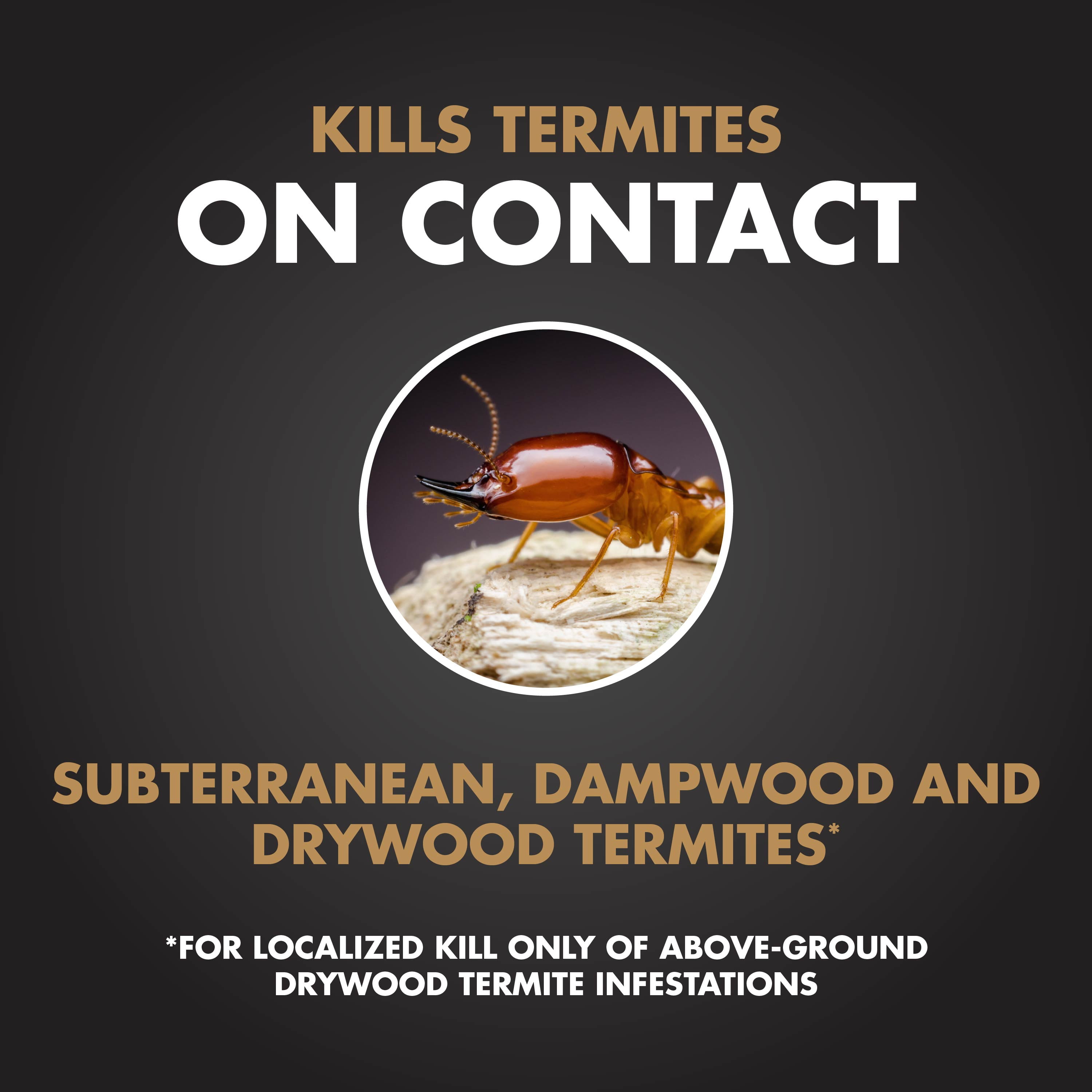 Spectracide Terminate Termite Killing Foam Aerosol, for Indoor and Outdoor Use, 16 Ounces