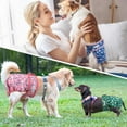 thumbnail image 3 of Langsprit Washable Female Dog Diapers (3 Pack) - No Leak Reusable Diapers for Doggy Female in Period - Highly Absorbent Dog Heat Panties with Adjustable Snaps,Flower,L, 3 of 7