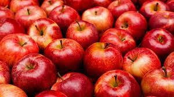 .com: Fresh Brand Organic Fuji Apples, 2 lb : Grocery & Gourmet Food