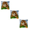 thumbnail image 1 of tssuouriy Beautiful Patterns And Relieve Stress With Hook Kits Simple Operation DIY BZ416 3Set, 1 of 6