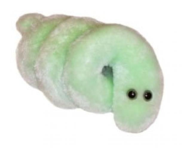 microbe plush toys