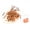 Orange 100 pcs, variant on GRIMPEX 100Pcs Fishing Float Stop Kit Cotton Knots with Beads for Rig Building Pink 100 Pcs