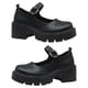 thumbnail image 1 of 1 Pair of Women Casual Shoes Chunky Heels Shoes Mary Jane Shoes Block Heels, 1 of 4