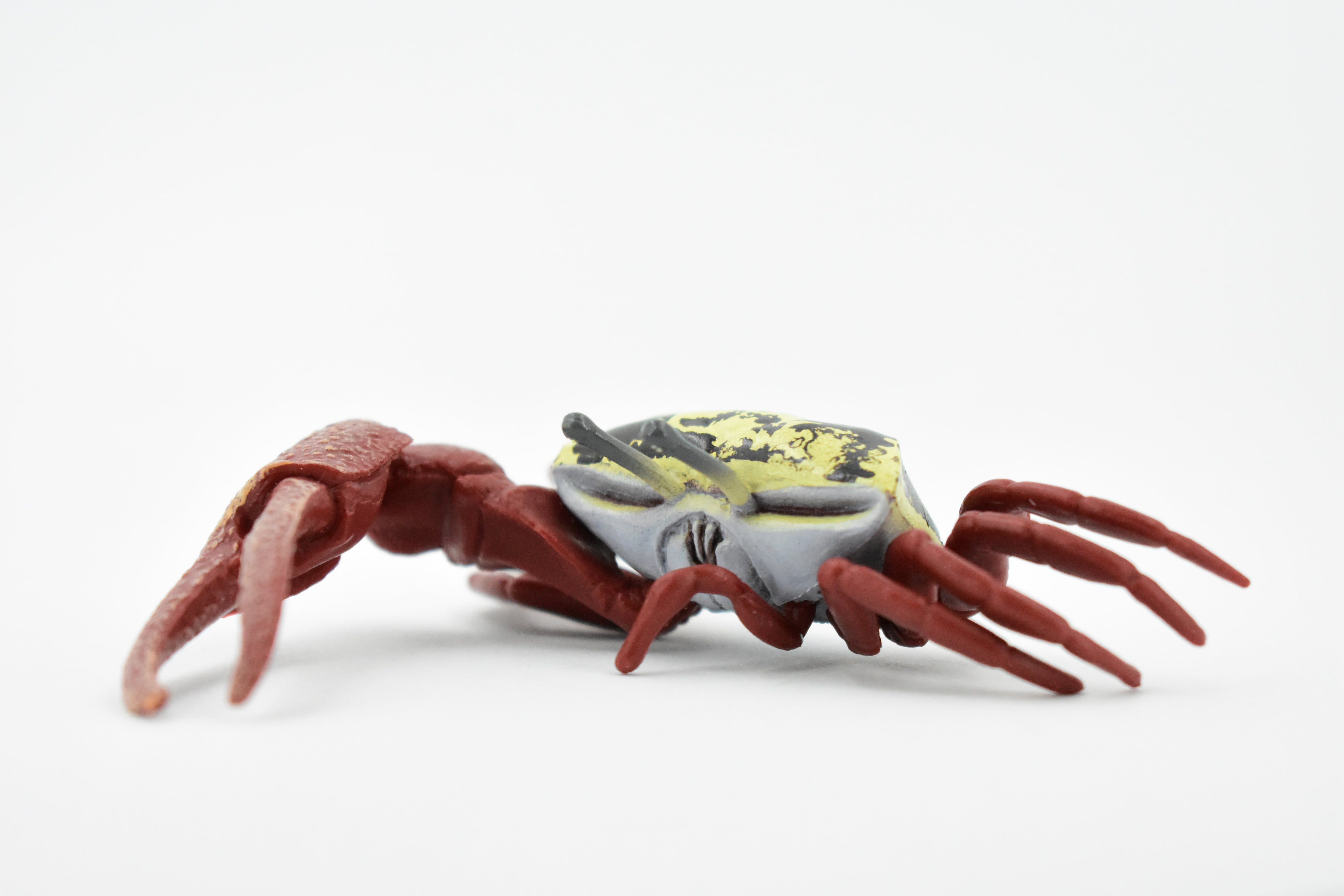 Crab, Fiddler Crab, Rubber, Crustaceans, Educational, Realistic, Hand  Painted, Figure, Lifelike Figurine, Replica, Gift, 2 F935 B157