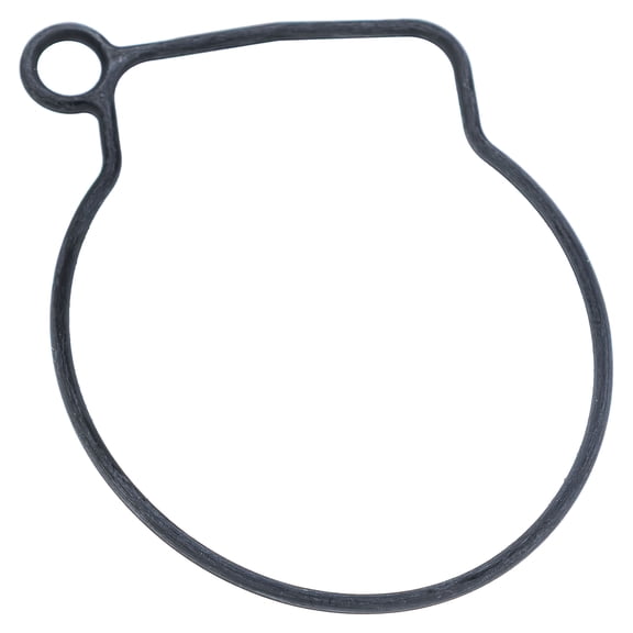 Polaris Carburetor Float Gasket Genuine OEM Part 0453959