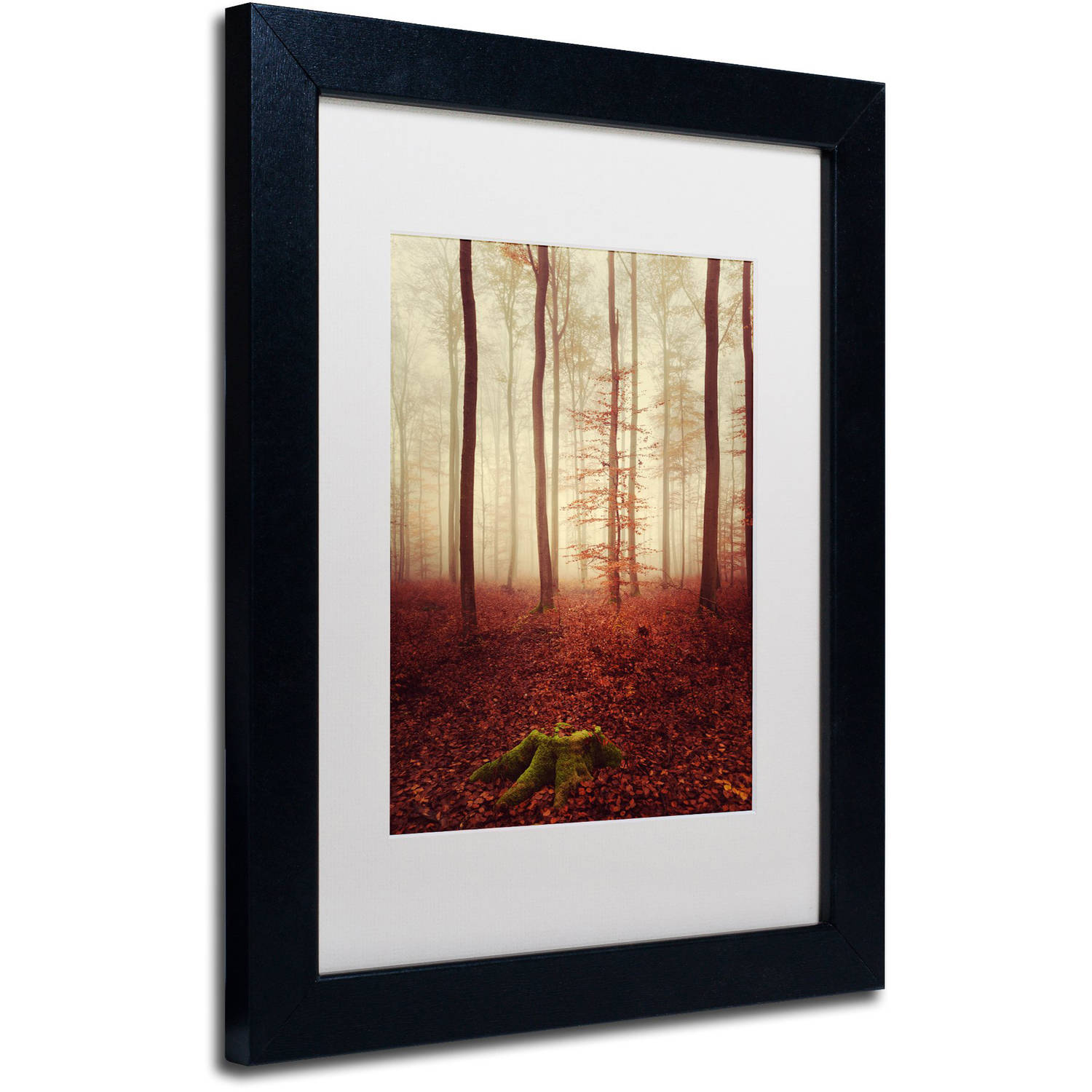 Trademark Fine Art "Land of the Free" Canvas Art by Philippe Sainte-Laudy White Matte, Black Frame