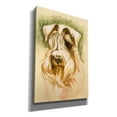 thumbnail image 2 of Epic Graffiti 'Sealyham Terrier' by Barbara Keith, Canvas Wall Art, 18"x26", 2 of 2