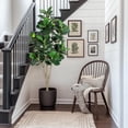 thumbnail image 5 of Artificial Tree, Faux Fiddle Leaf Fig Tree, 6ft Tall Ficus Tree Artificial for Home Decor, Fake Lyrata Fig Plants Green Tree with Pot for Indoor Outdoor Home Office Living Room Bathroom Decor, 5 of 7