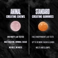 thumbnail image 6 of Animal Creatine Chews – 5g Creatine Monohydrate, Fast-Absorbing, No Mess Powder-Free – Fruit Punch - 30 Count, 6 of 6