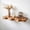 Color 2, variant on Floating Shelves Live Edge Wood Shelf Handcrafted Carved Wavy Floating Shelf Sculpture Art Hanging Shelves