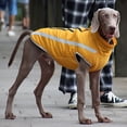 thumbnail image 4 of KAKOWELY 1 pieza de ropa para perro, abrigo grueso para perro, ropa para exteriores, disfraz para perro., 4 of 5