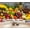 Color 4, variant on Wallpaper Colorful Fruit Market Display Pineapples Bananas Fresh Produce Peel and Stick Wall Murals 69"H x 96"W Removable PVC Wall Paper for Kitchen Restaurant Dining Room Supermarket Room