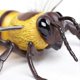 thumbnail image 5 of Figura de abeja de Safari Ltd. - Modelo realista de 14 cm - Juguete educativo para niños, niñas y niños a partir de 3 años, 5 of 5