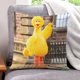 thumbnail image 1 of Big Bird Fundas de almohada de terciopelo con tema, regalos de funda de almohada, decoración para el hogar, cojín de lanzar, regalo de cumpleaños para fans y parejas. 50cm x 50cm., 1 of 6