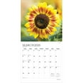 thumbnail image 3 of Sunflowers | 2026 12x24" (Hanging) Monthly Square Wall Calendar | Plato, 3 of 9