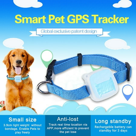 Mini Pet GPS Tracker Device Adjustable Collar & Activity Monitor Locator Real Time for Pet Cats Dogs, Waterproof, Anti Lost Finder Tracker, Network Tracking,Pet Training