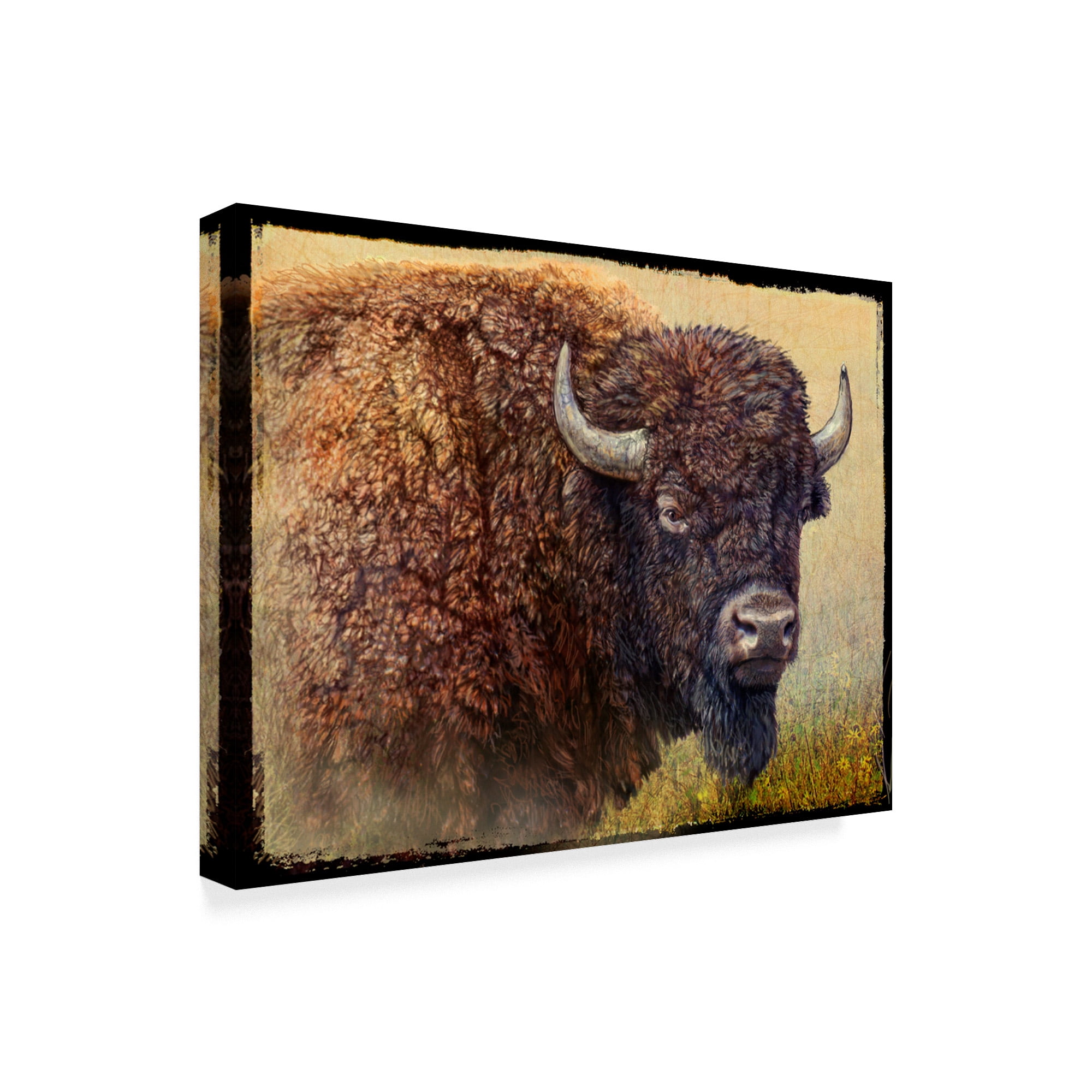 Trademark Fine Art 'Bison Portrait I' Canvas Art by Chris Vest