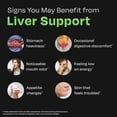 thumbnail image 6 of Auric Liv365 Liver Detox Supplement 60 Tablets | Lemon Flavour Advanced Herbal Formula for Liver Health, Detox & Cleansing, 6 of 12
